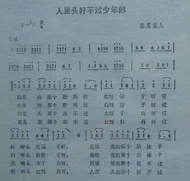 人里头好不过少年郎（临夏花儿）