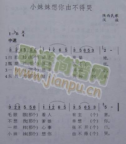 小妹妹想你由不得哭（陕西民歌）