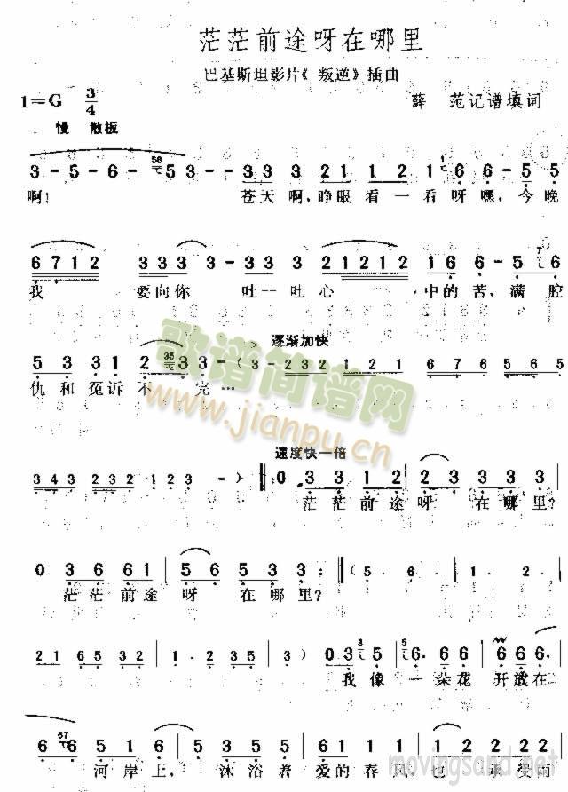 茫茫前途呀在哪里
