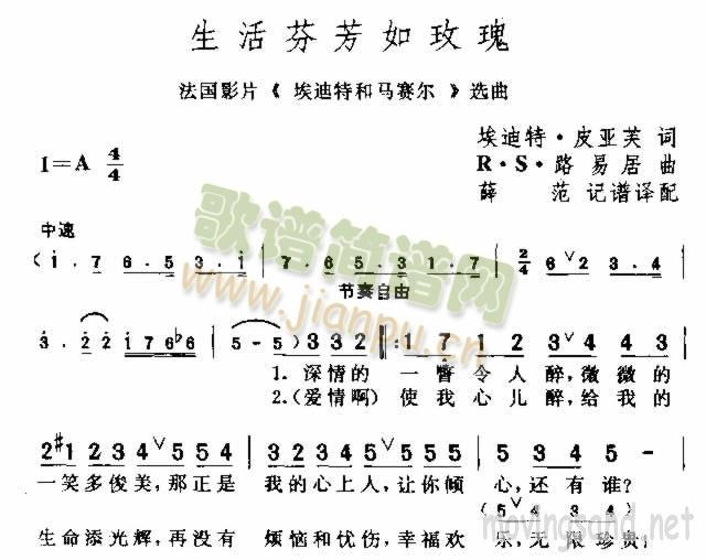 生活芬芳如玫瑰