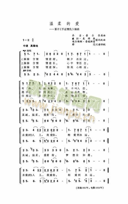 温柔的爱.