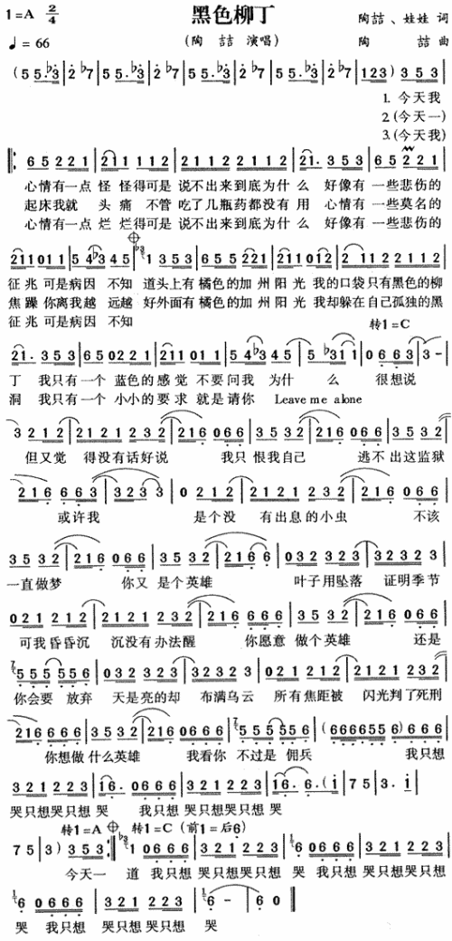 黑色柳丁