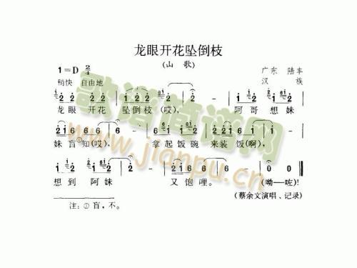 龙眼开花坠倒枝（山歌）