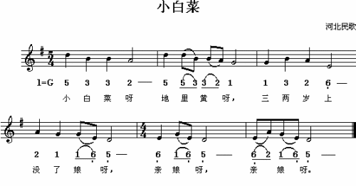 小白菜