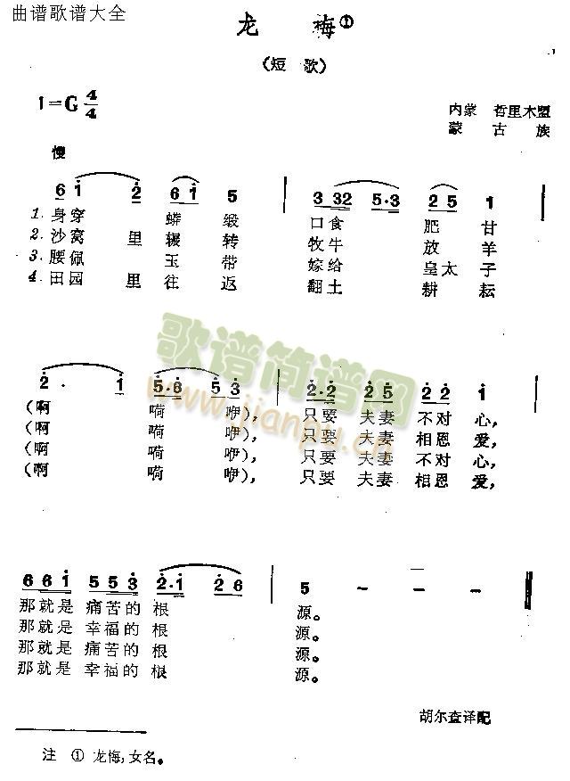 龙梅