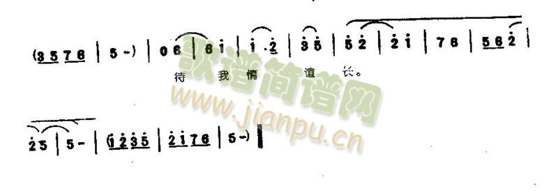月儿斜柳影长0003