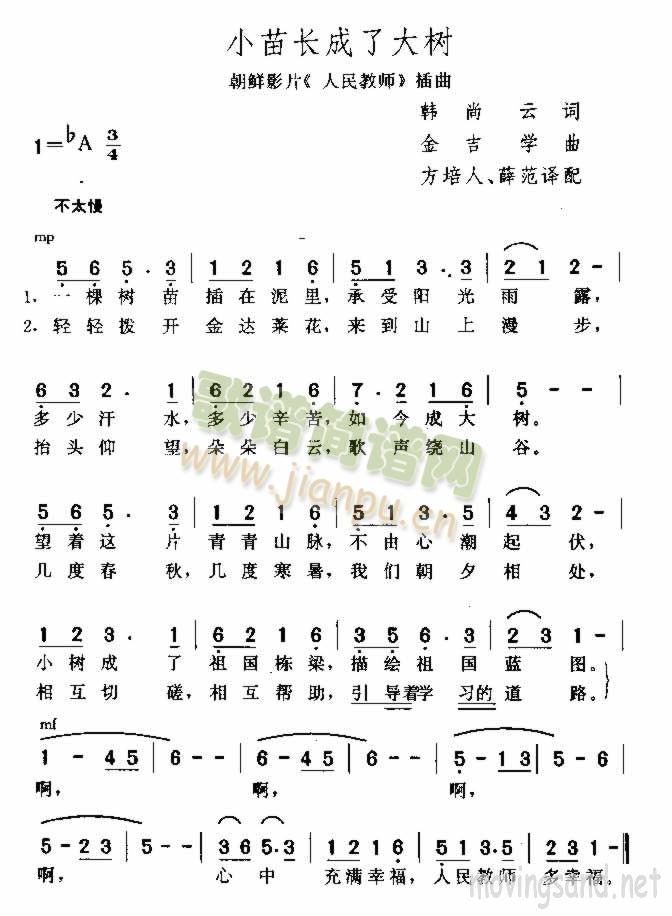 小苗长成了大树