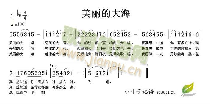 美丽的大海