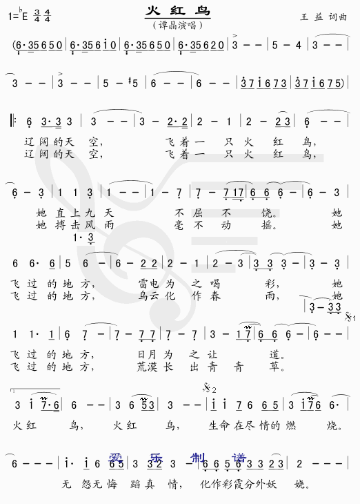 火红鸟
