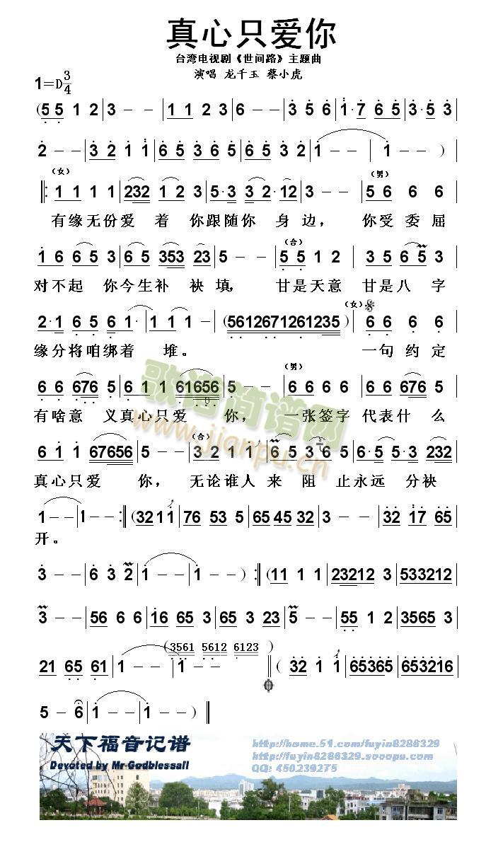真心只爱你