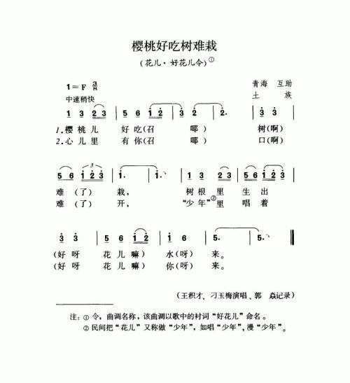 樱桃好吃树难栽（花儿·好花儿令）