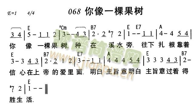 你像一棵果树