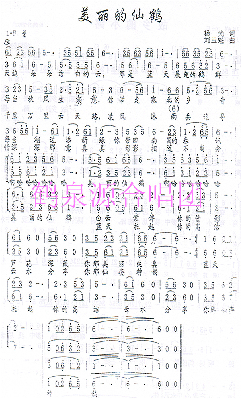 美丽的仙鹤