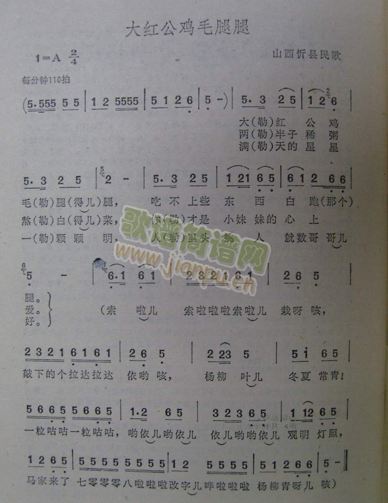 大红公鸡毛腿腿（山西民歌）