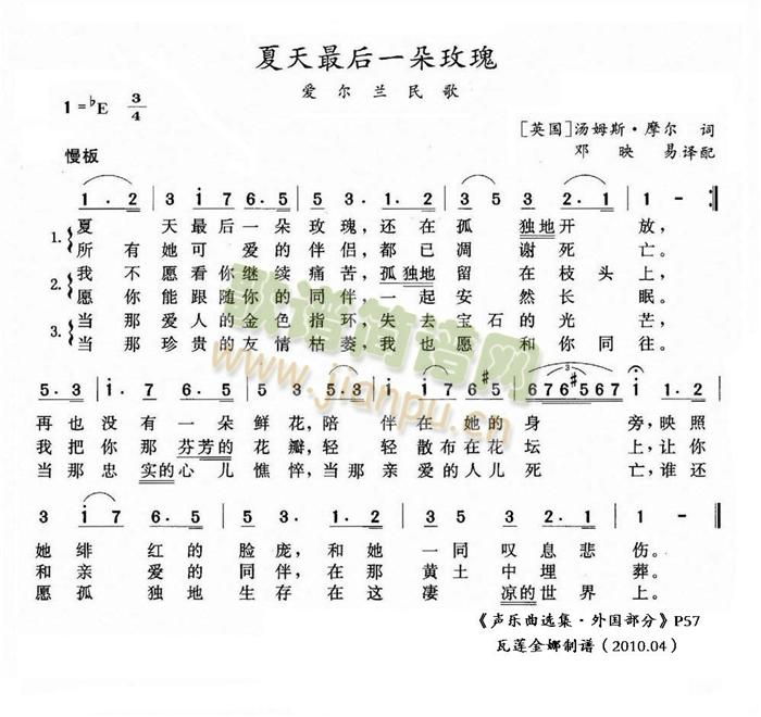 夏天里最后一朵玫瑰