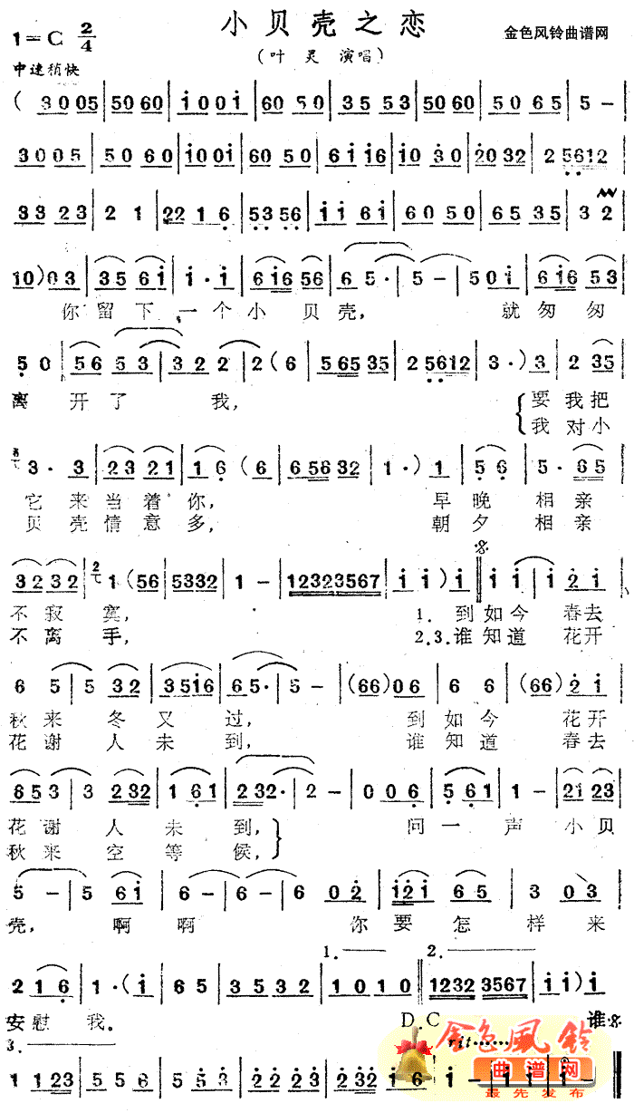 小贝壳之恋