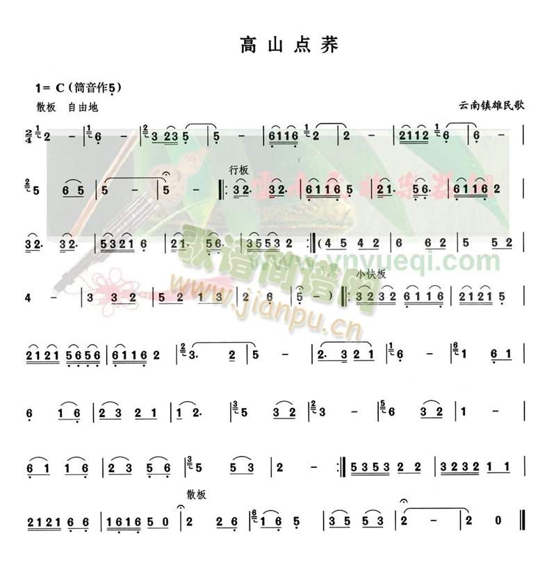 高山点荞