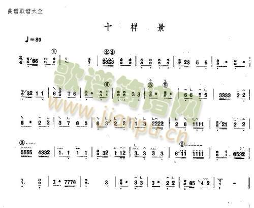 十样景