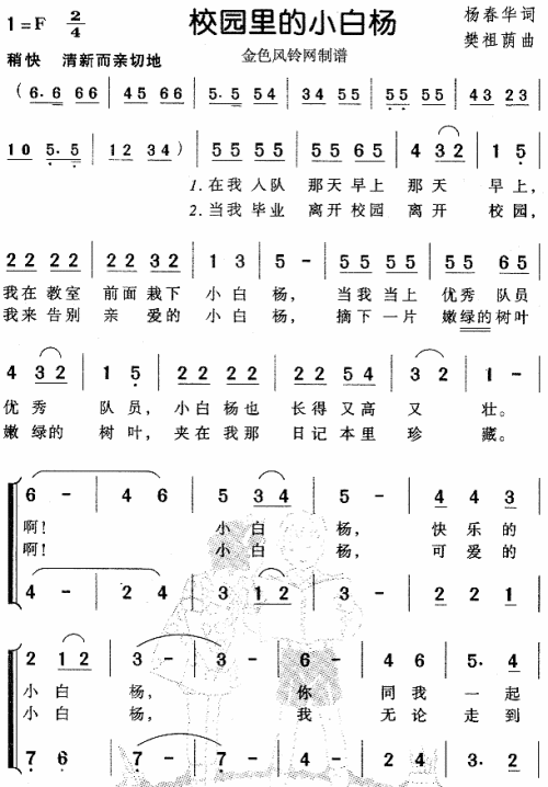 校园里的小白杨