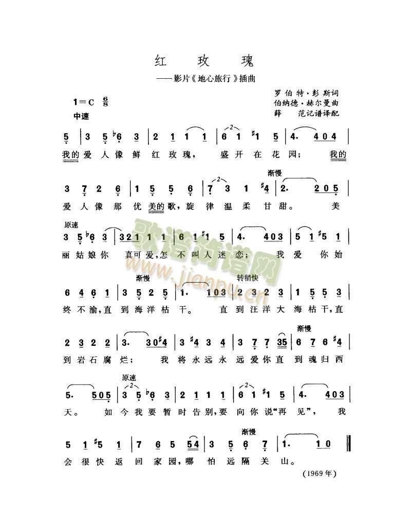 红玫瑰