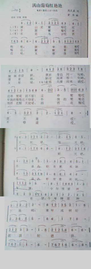满山葡萄红艳艳