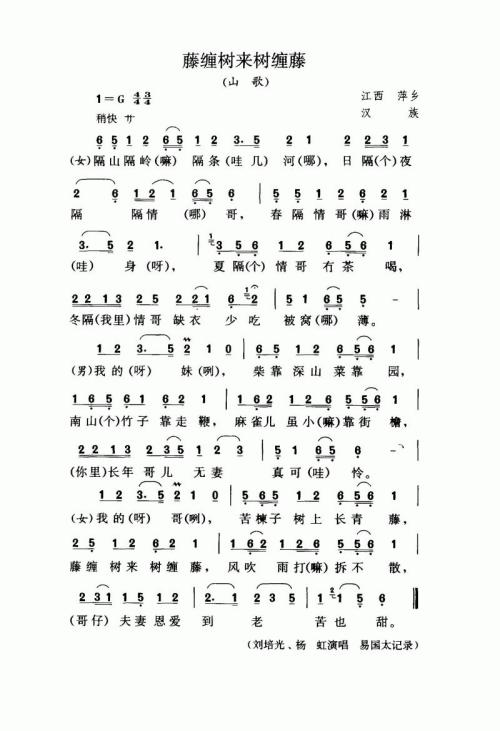 藤缠树来树缠藤（山歌）