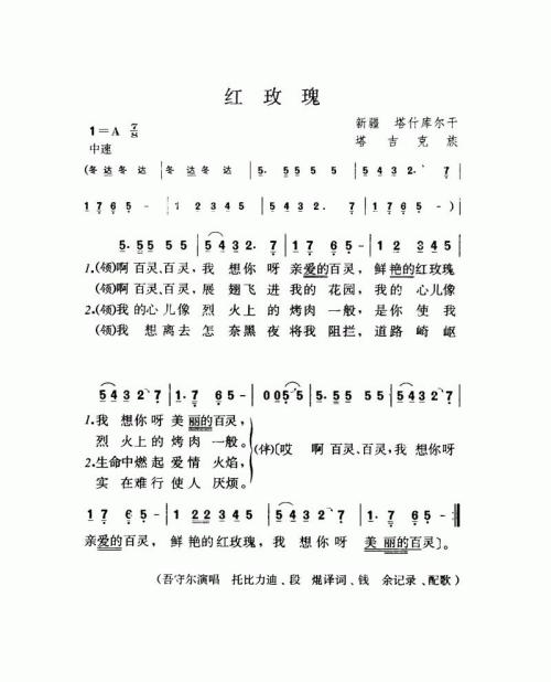 红玫瑰