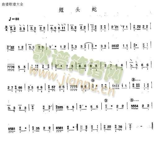 短头蛇