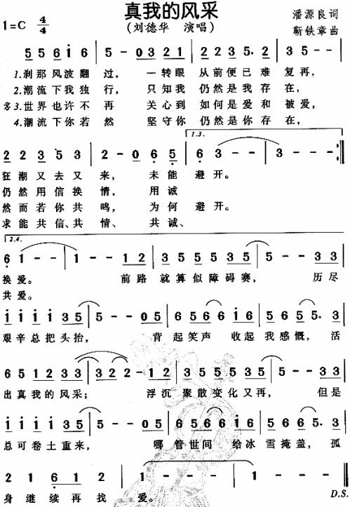 真我的风采