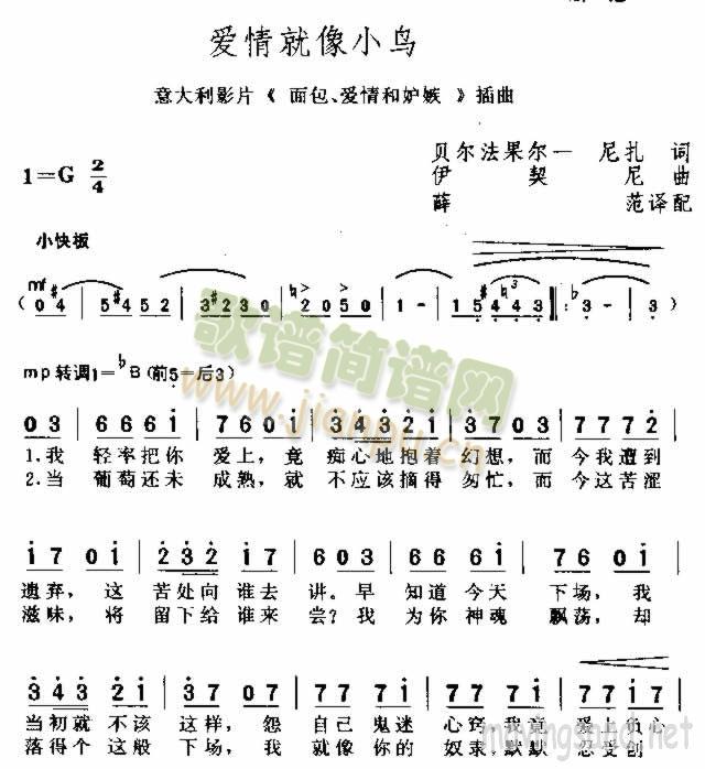 爱情就像小乌