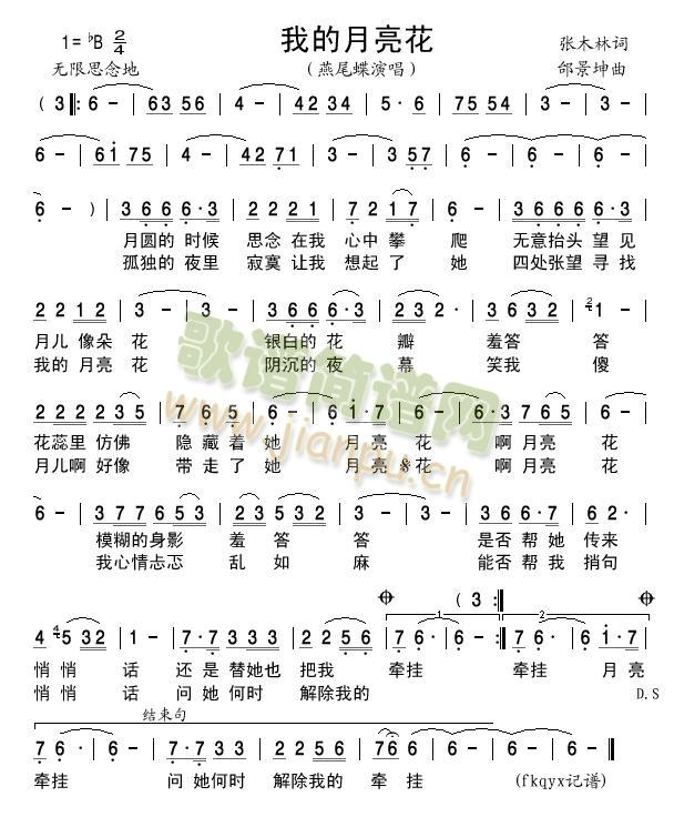 我的月亮花