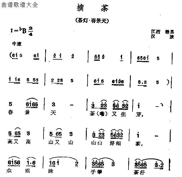 摘茶