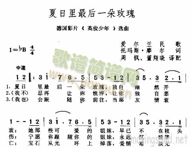 夏日里最后一朵玫瑰