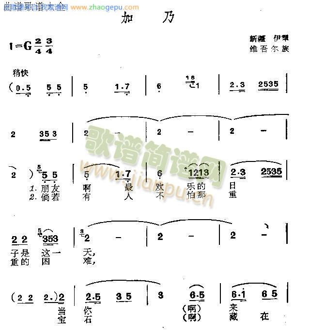 加乃