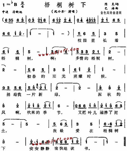 梧桐树下