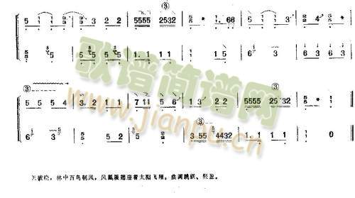 凤凰单展翅