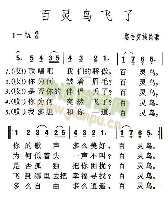 百灵鸟飞了