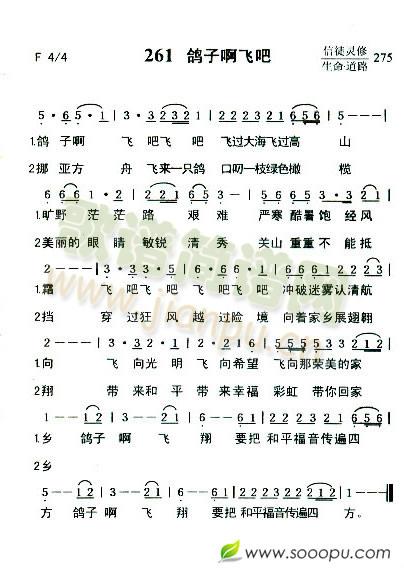 鸽子啊飞吧