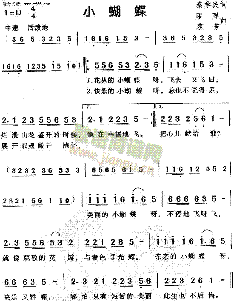 小蝴蝶