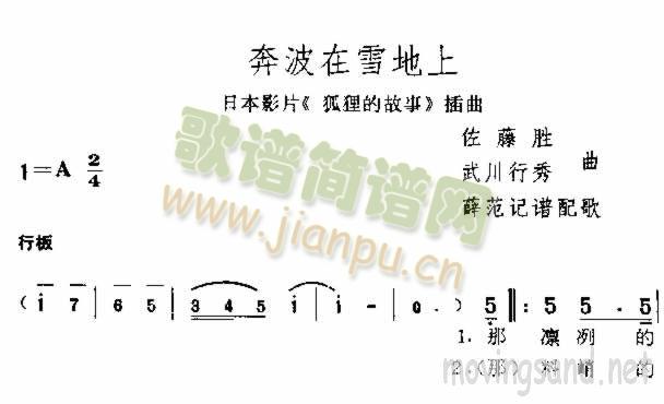奔波在雪地上