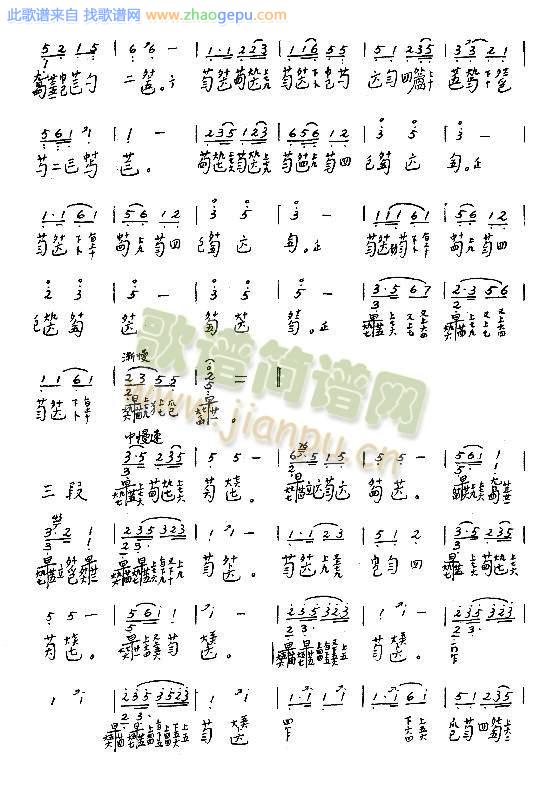 袍修罗兰25-31