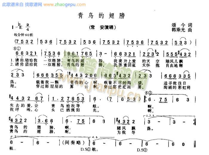 青鸟的翅膀