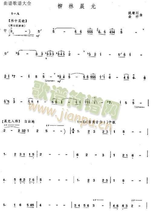 柳林晨光