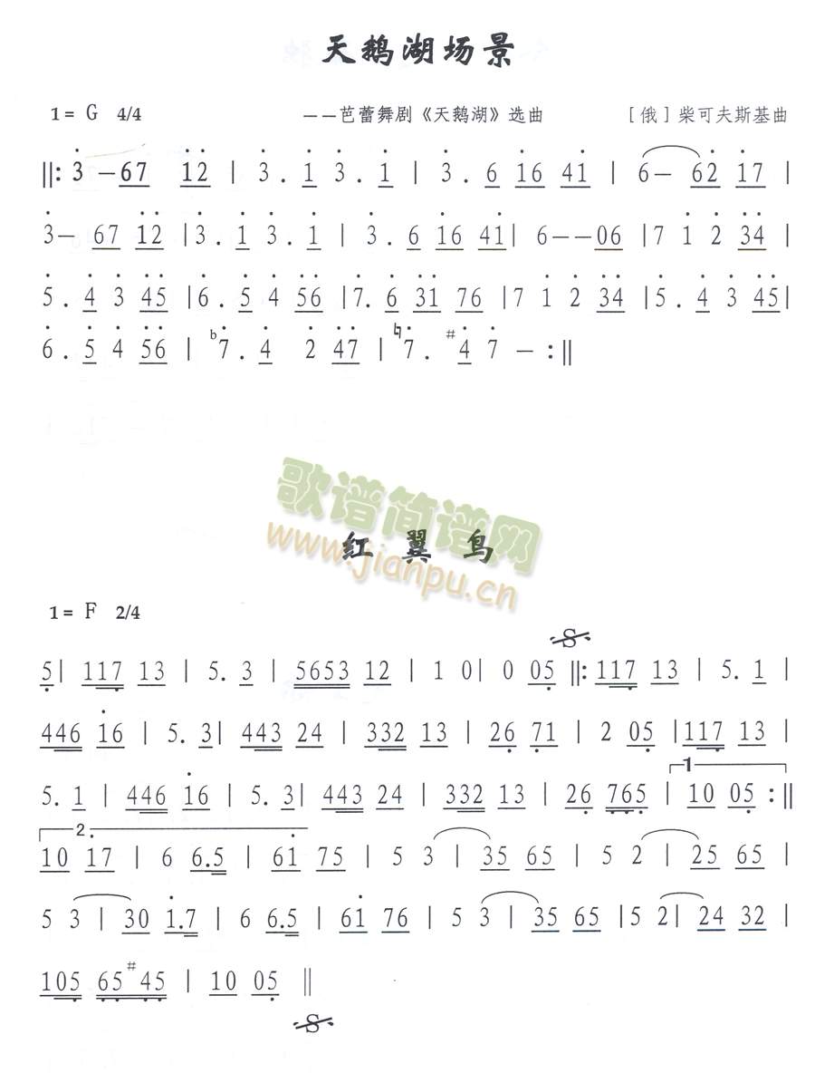 红翼鸟