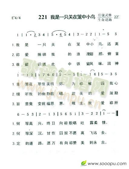 我是一只关在笼中小鸟