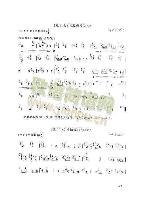 51-55页