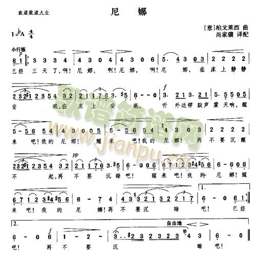 尼娜