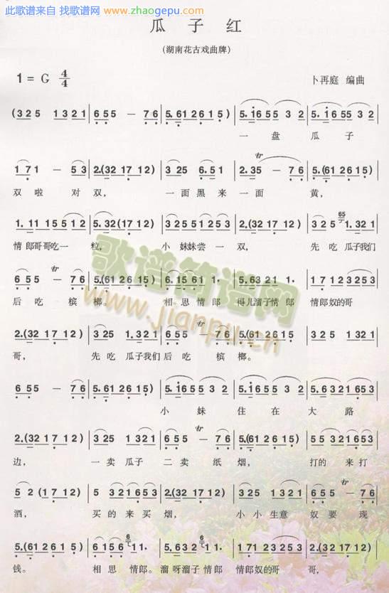 瓜子红