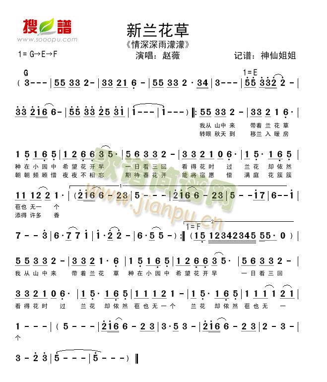 新兰花草情深深雨濛濛