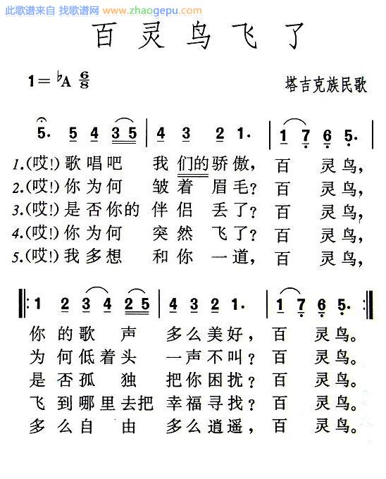 百灵鸟飞了